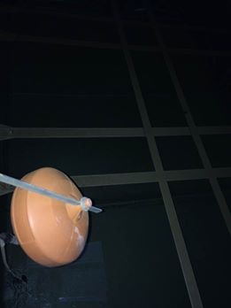 Yaren İlaçlama kene parazit mücadelesi